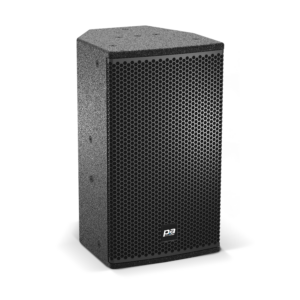Plus Audio C10 Loudspeaker